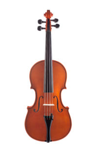 Violino 2014, fondo intero