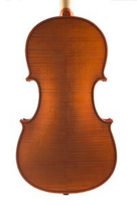 Violino 2015