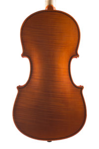 Violino 2014, fondo intero