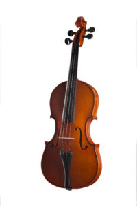 Violino 2014, fondo intero