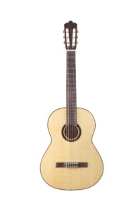 Chitarra 2010, fondo acero