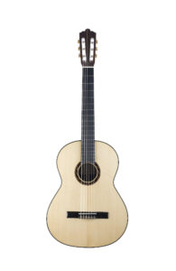 Chitarra 2014, fondo palissandro