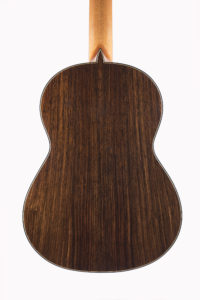 Chitarra 2014, fondo palissandro