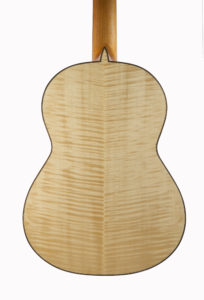 Chitarra 2010, fondo acero