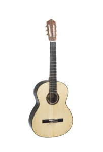 Chitarra 2014, fondo palissandro 