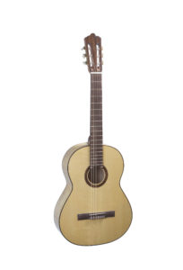 Chitarra 2010, fondo in acero